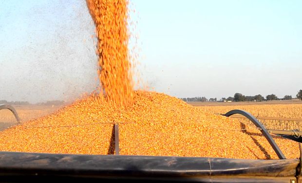 Hay que transformar el cereal en más negocios de agregado de valor.