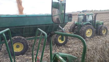 Sin precedentes: el maíz se encamina a lograr un rinde promedio de 83,6 qq/ha
