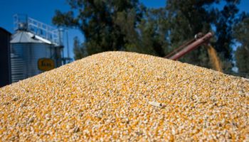 El Gobierno destaca un récord absoluto para la producción agrícola de la Argentina