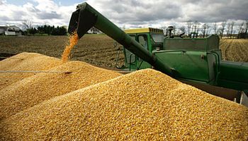 Con 26,3 millones de toneladas, finalizó la cosecha de maíz