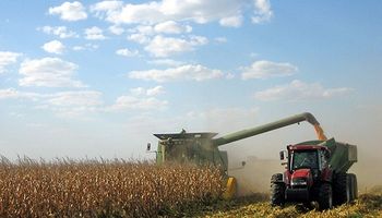 Primeros pasos de la cosecha de maíz en Estados Unidos