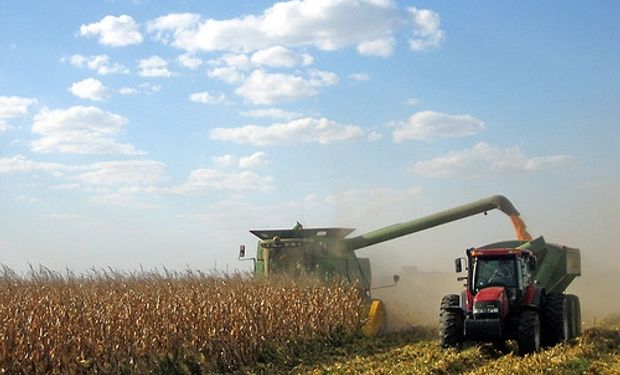 Primeros pasos de la cosecha de maíz en Estados Unidos