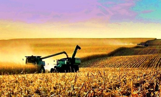 La cosecha de maíz en Estados Unidos presenta un atraso de 19 puntos porcentuales respecto al promedio de los últimos cinco años.