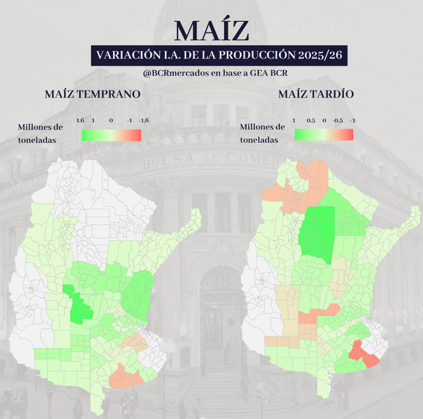Cosecha de maíz temprano