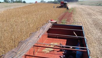 El Gobierno se acerca al campo para incrementar 32% las exportaciones