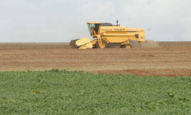 Brasil aumentó 221% producción de granos