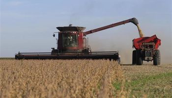 Finalizó la cosecha de soja en la principal región productora