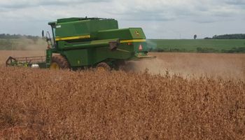 Comenzó a todo ritmo la cosecha de soja en Brasil