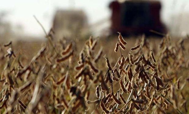 Por el momento se mantiene la proyección de 56,5 millones de toneladas.
