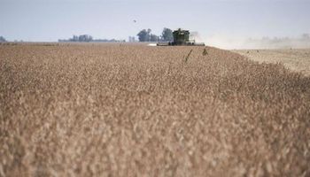 En la zona núcleo ya se cosechó un 30% de la soja de primera