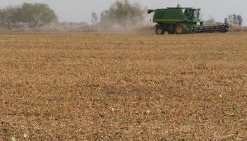 La cosecha de soja comienza a cobrar impulso