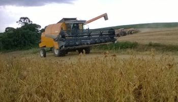 Contraste regional: se atrasa la cosecha en Brasil por exceso de lluvias