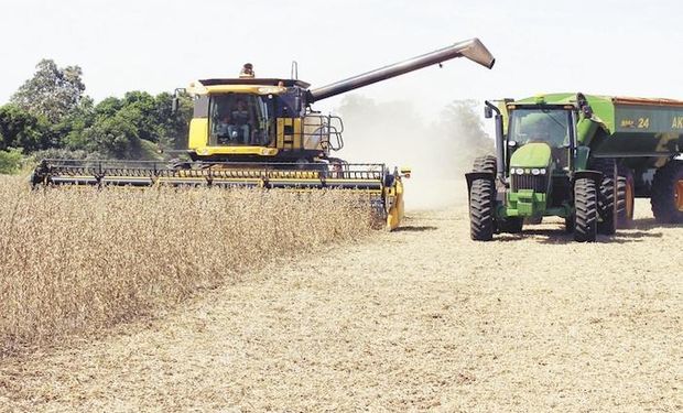 Productores piden baja de impuestos por la sequía.