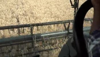 El mensaje crítico de un productor que se volvió viral en plena cosecha
