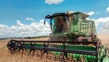 Avanza con fuerza la cosecha de soja en Brasil frente al pronóstico de lluvias