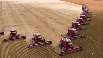 USDA: se confirmó el recorte para la cosecha sudamericana de soja, pero por debajo de lo esperado
