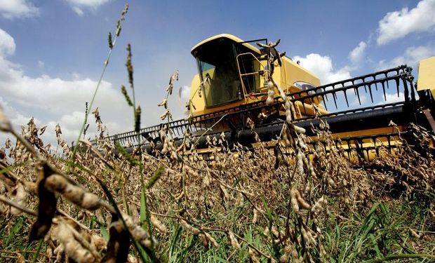 Gastos de cosecha en soja suben 49%
