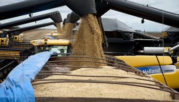 La cosecha argentina endulza al gobierno