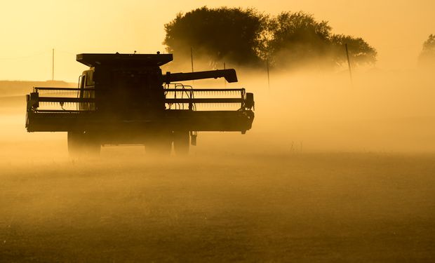Cosecha de soja avanza lentamente en Argentina