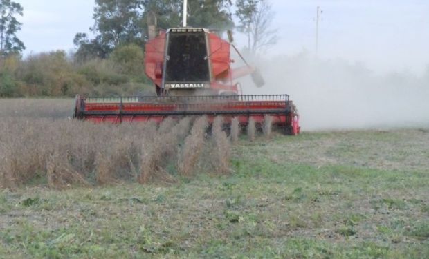 Impacto del “Plan Belgrano” para el productor del norte.