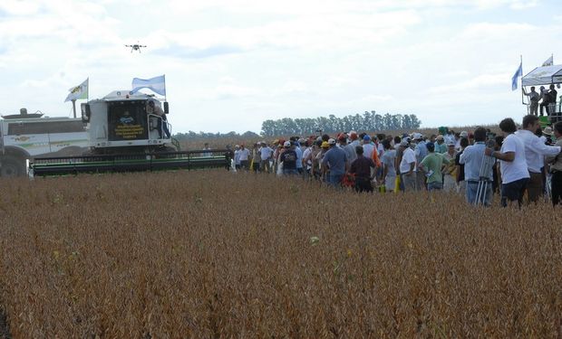 Además, enfatizaron la necesidad de realizar una adecuada calibración de los monitores de rendimiento si se quieren aprovechar las bondades de la agricultura de precisión.