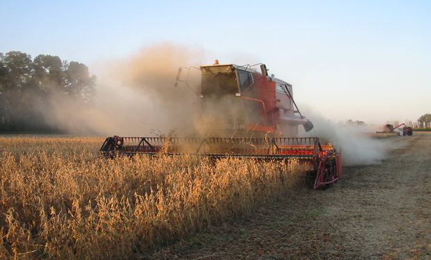 Avances en las cosechas de soja y sorgo