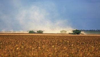 La jugada clave para ganar en el mercado de soja, con US$ 360 por tonelada: una cosecha compleja (y récord) que entra en un momento crítico