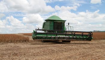 Vuela el precio de la soja: qué hay detrás de la importante suba en plena cosecha