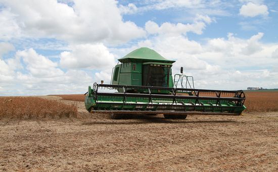 El precio de la soja sube en Chicago y contagia al mercado local; en plena cosecha, los productores hacen "caja" con el maíz