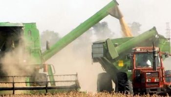 Gobierno reduce estimación para la cosecha de soja