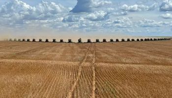 Las 90 cosechadoras que levantan soja en un lote de Brasil cuando se espera una producción que nunca logró ningún país