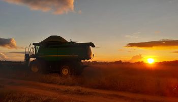 En Brasil la cosecha de soja ya cubrió más del 40%: los rindes hasta el momento