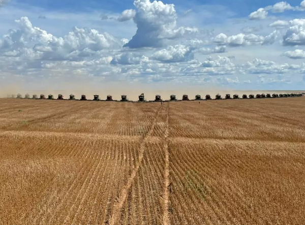 cosecha de soja brasil