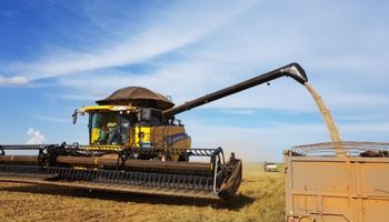 ¿Cómo viene la cosecha de soja en Brasil?