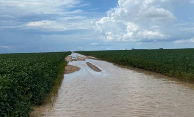 En medio de un programa de embarques récord, la cosecha de soja en Brasil se mantiene con el menor avance en 10 años