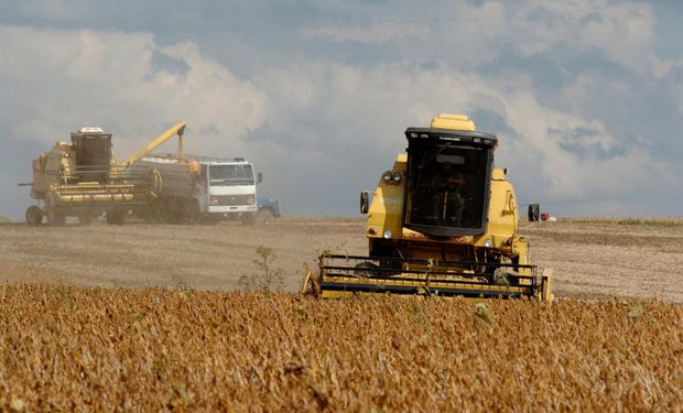 Los rindes fueron incrementados en estados claves como Mato Grosso.