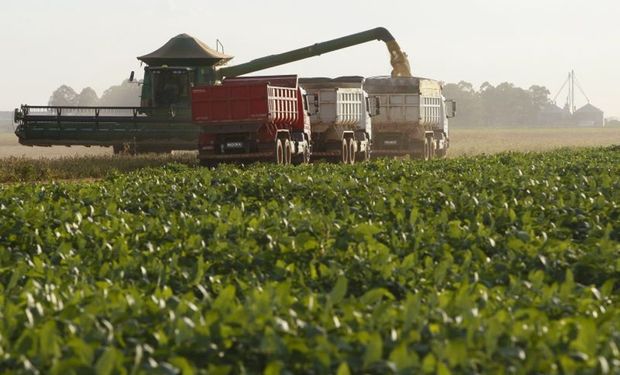 Todavía restan conocer los rendimientos de Rio Grande do Sul, que podrían llegar a modificar el volumen total de la cosecha de soja en Brasil.