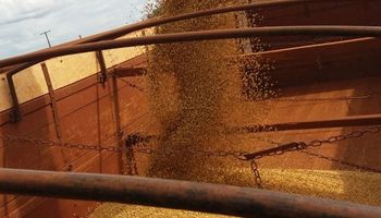 Rápido avance: cosecha de soja cubrió un 33% en Brasil
