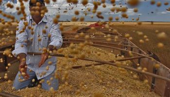 Gana ritmo la cosecha de soja en Brasil
