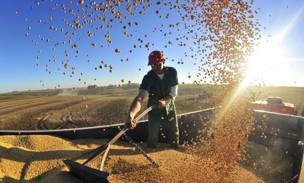 En el ciclo 2014/15 trillaron 96,2 millones de toneladas y en la 2013/14, 87 millones de toneladas.