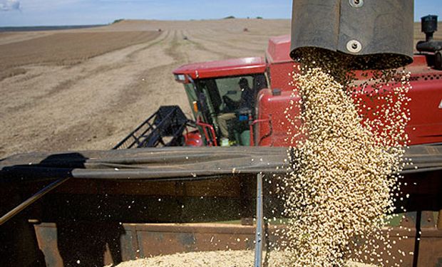 USDA estimó la cosecha de soja en 58,5 millones de toneladas.
