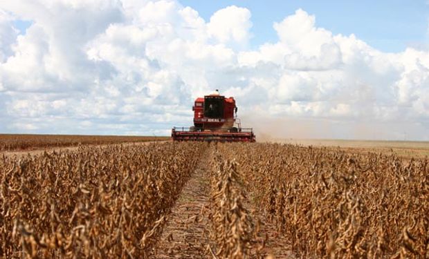 Se prevé que el cultivo de soja de 2014/15 de Brasil sea 11,4 por ciento mayor que la recolección ya histórica del año pasado.