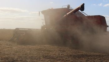 Avanza a buen ritmo la cosecha de soja en Argentina