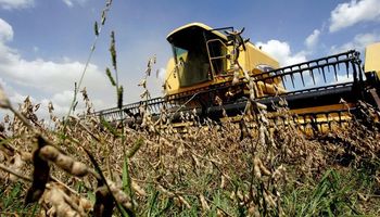 Paraguay cosechó 9,3 M de toneladas