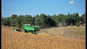 En Tucumán obtienen menos soja