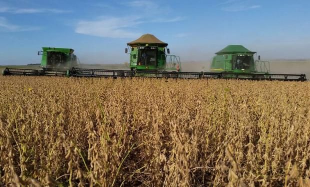 "Es tiempo de desactivar la cláusula Monsanto esta campaña. Hoy con la ley actual de semillas la cláusula es ilegal. El Estado tiene que actuar", dijo Chiesa, de CRA.