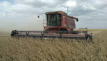 Chicago: la cosecha sudamericana presiona los precios de la soja
