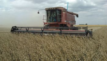 Se deben cosechar 18,7 quintales de soja  para cubrir los costos en Entre Ríos