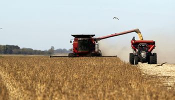 Más y más soja: proyectan 60,8 millones de toneladas