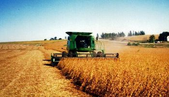 Cosecha de soja sería ahora de 59,6 millones de toneladas